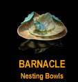 Barnacle